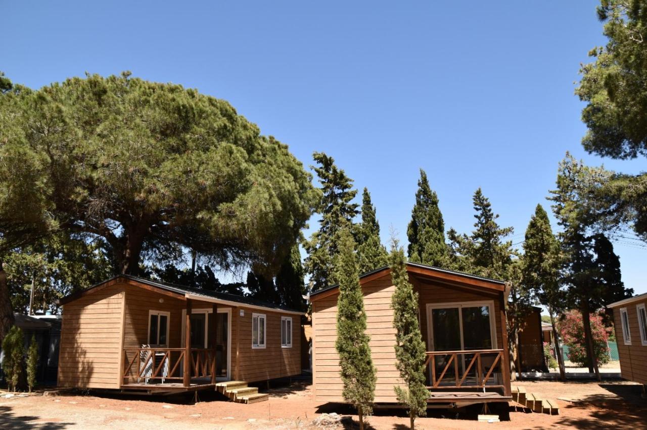 Taiga Conil Hotel Conil De La Frontera Bagian luar foto
