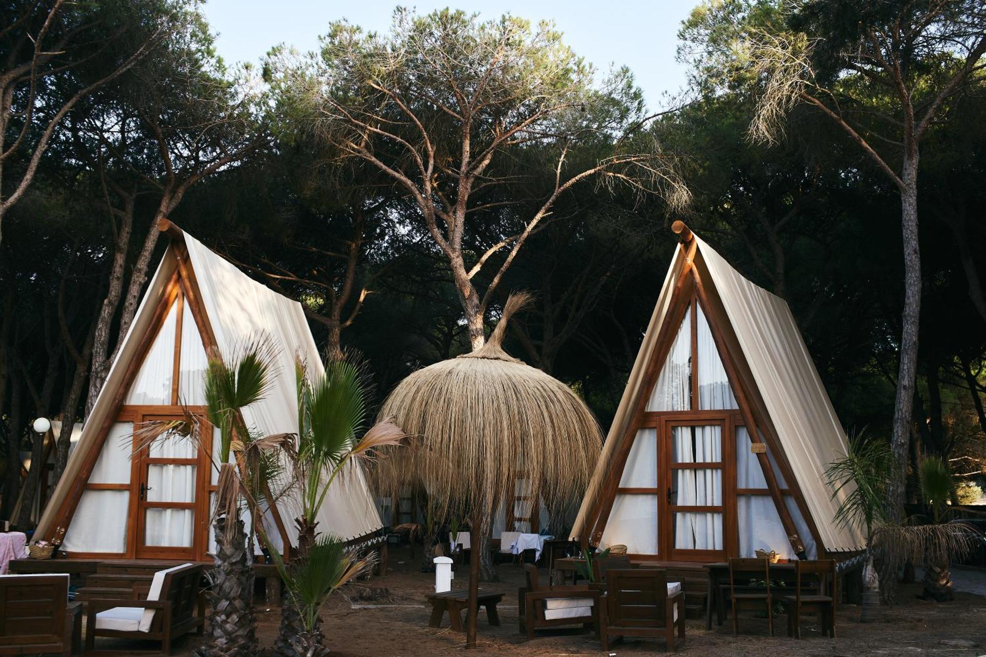 Taiga Conil Hotel Conil De La Frontera Ruang foto